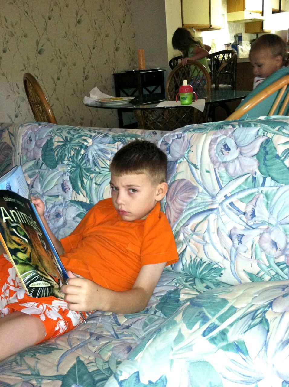 Boogie reading his new animal book at the townhouse.