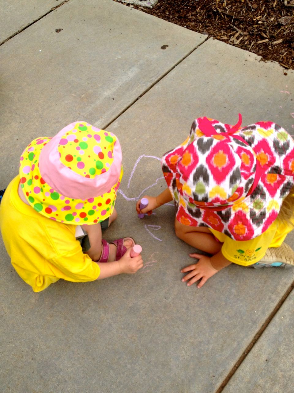Buggy and Cha Cha enjoying a break outside