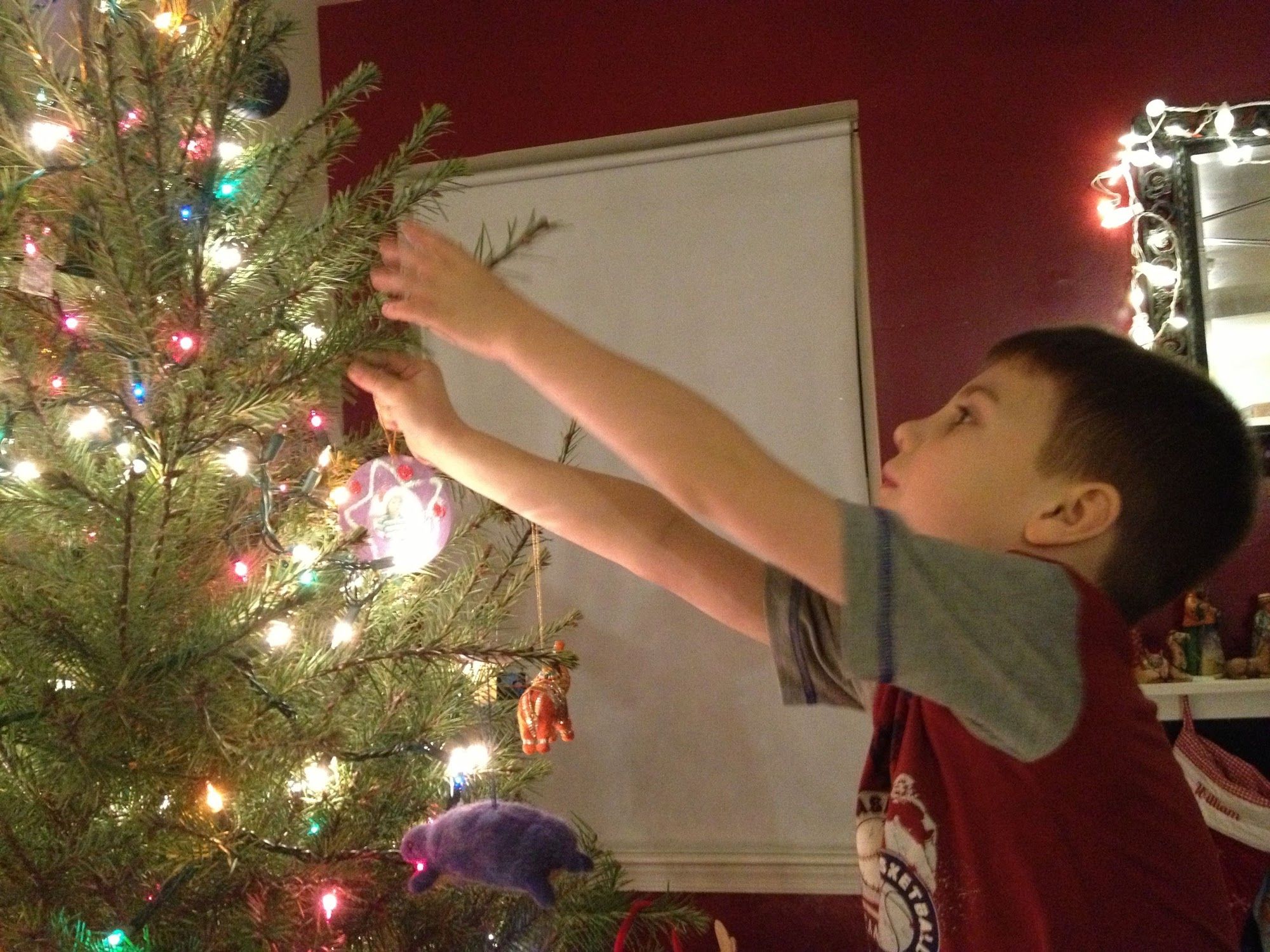 I love this picture.Boogie decorating our tree