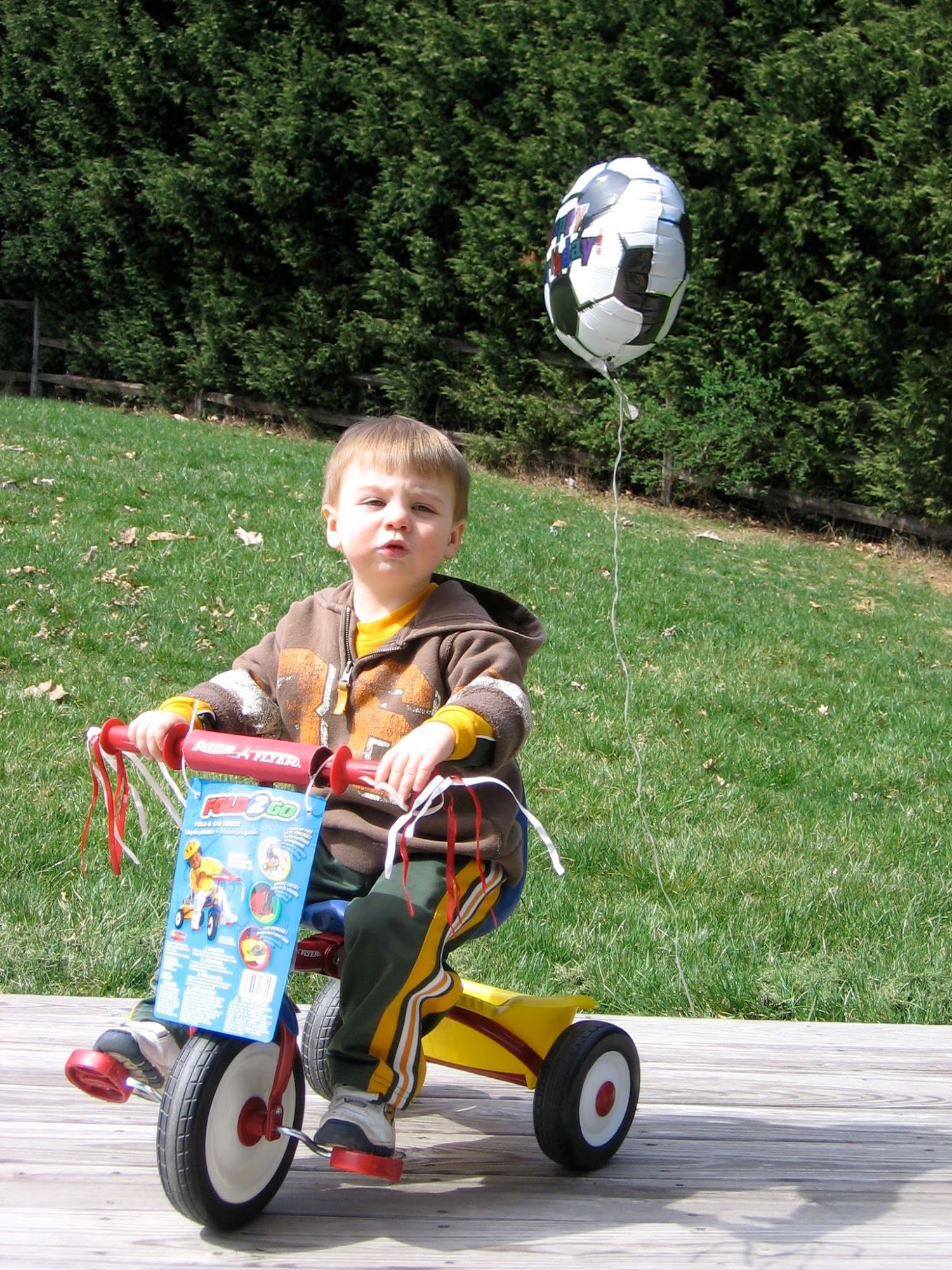 Celebrating his 2nd birthday in our new home with a real backyard