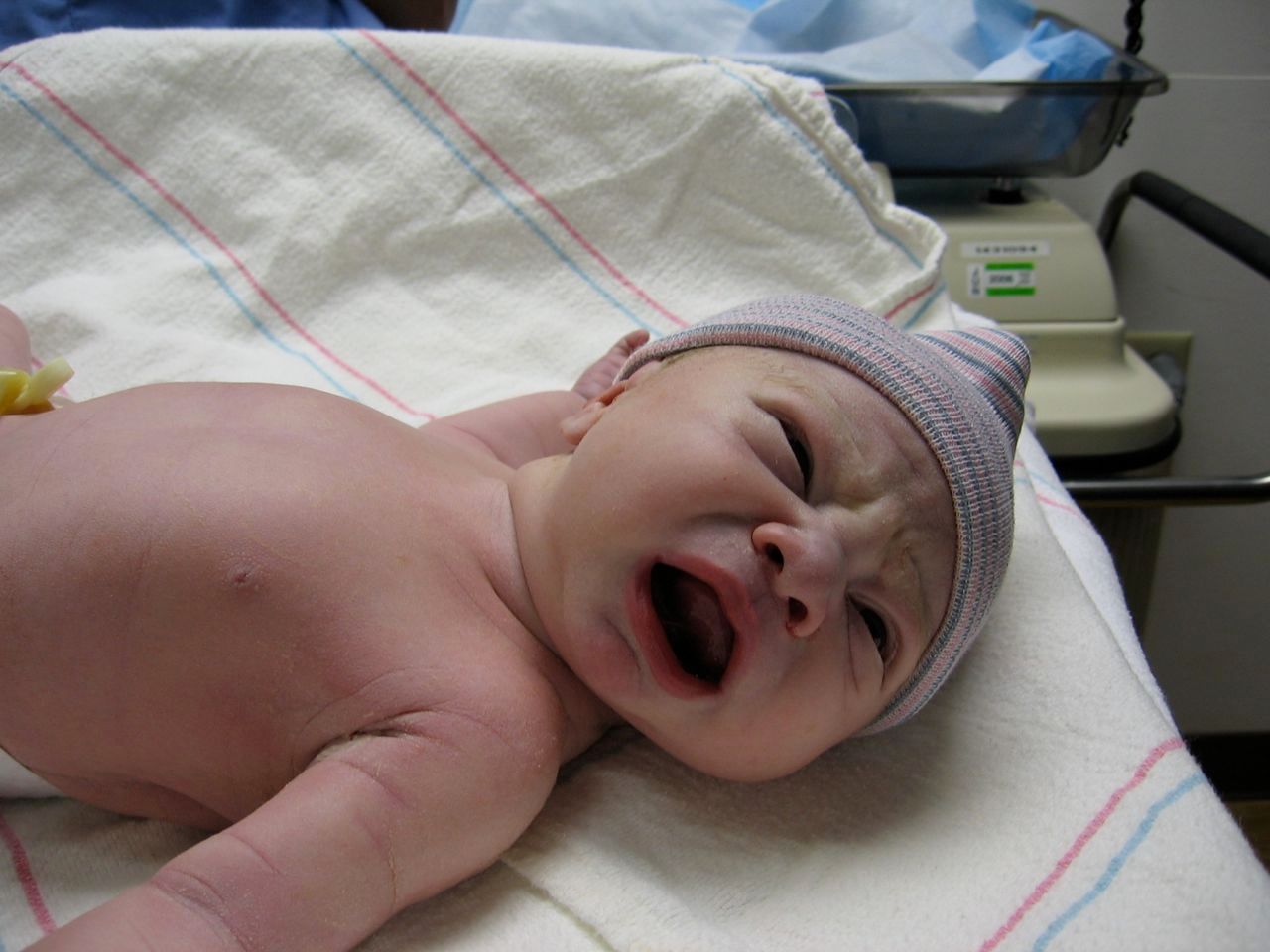Just Born!