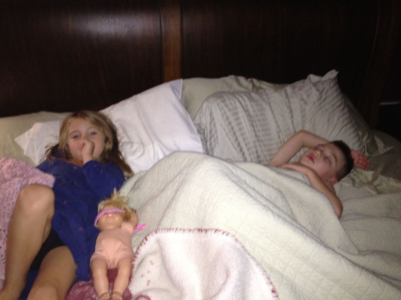 My Bed Bugs