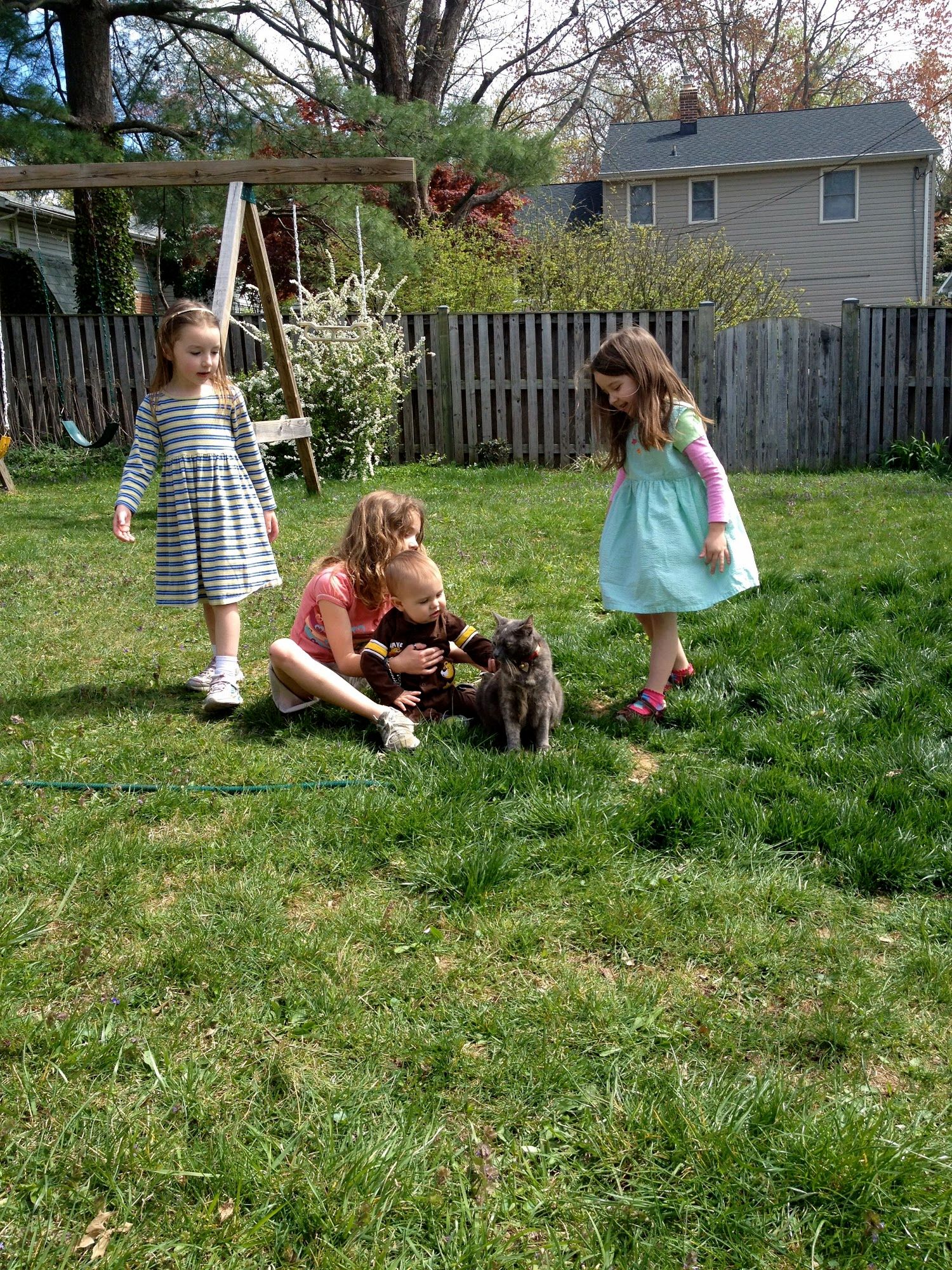 Mr. Bananas enjoying a fresh spring day with a few of his cousins