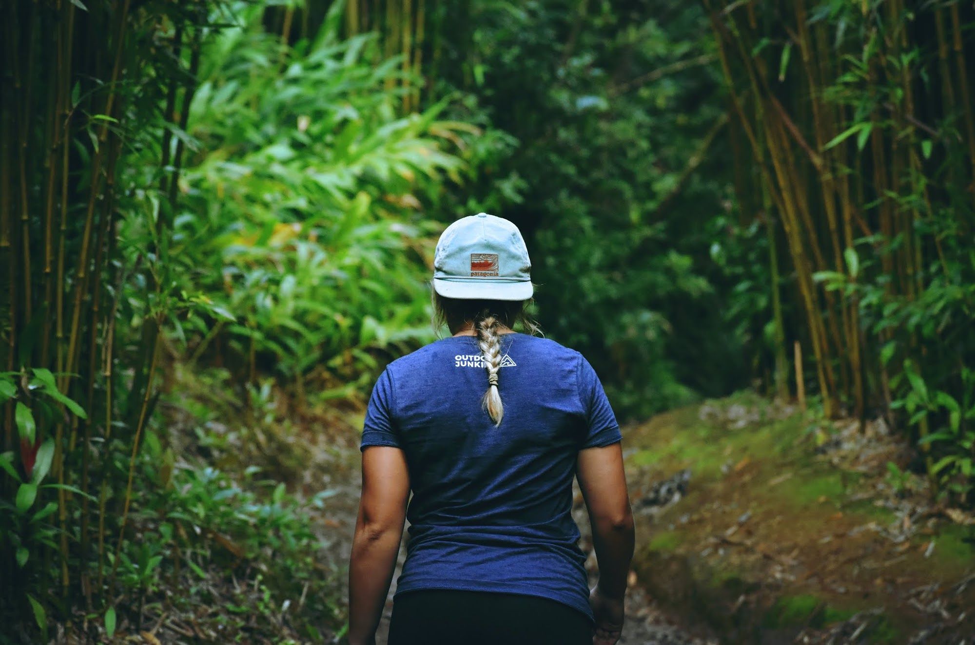 Image by Drew Farwell on Unsplash