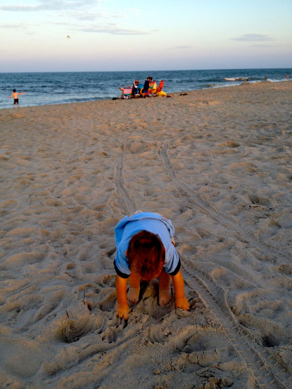 Mr. B. checking out the sand for the first time.