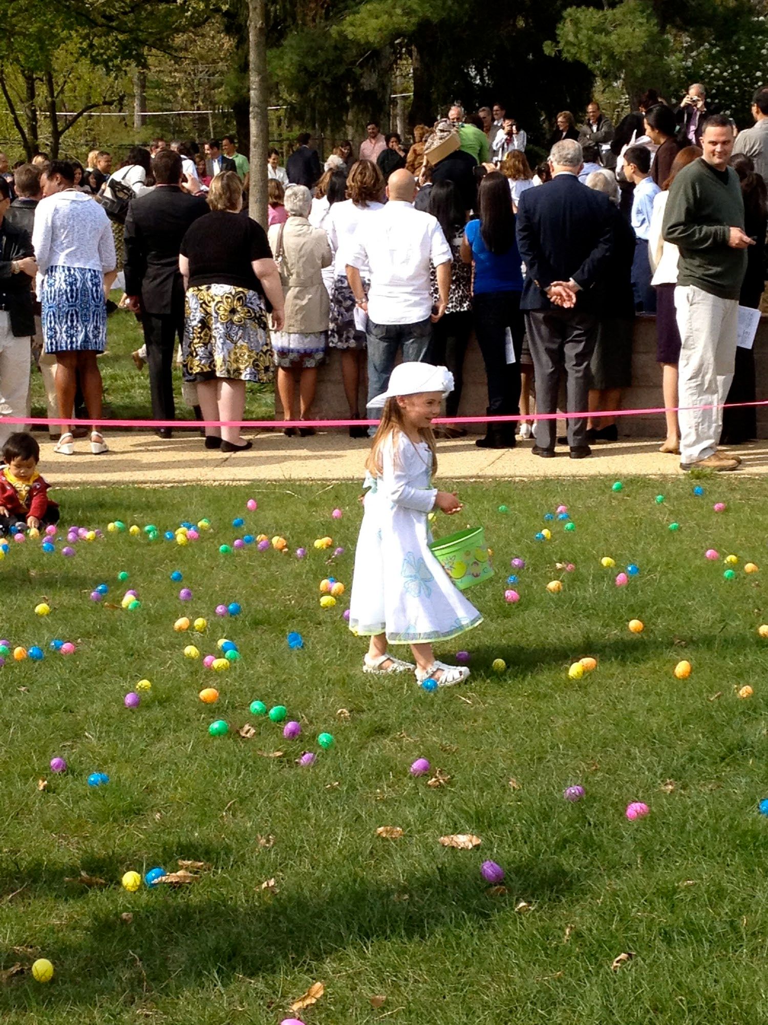 Buggy collecting eggs at our Church's annual Easter egg hunt after Easter mass.