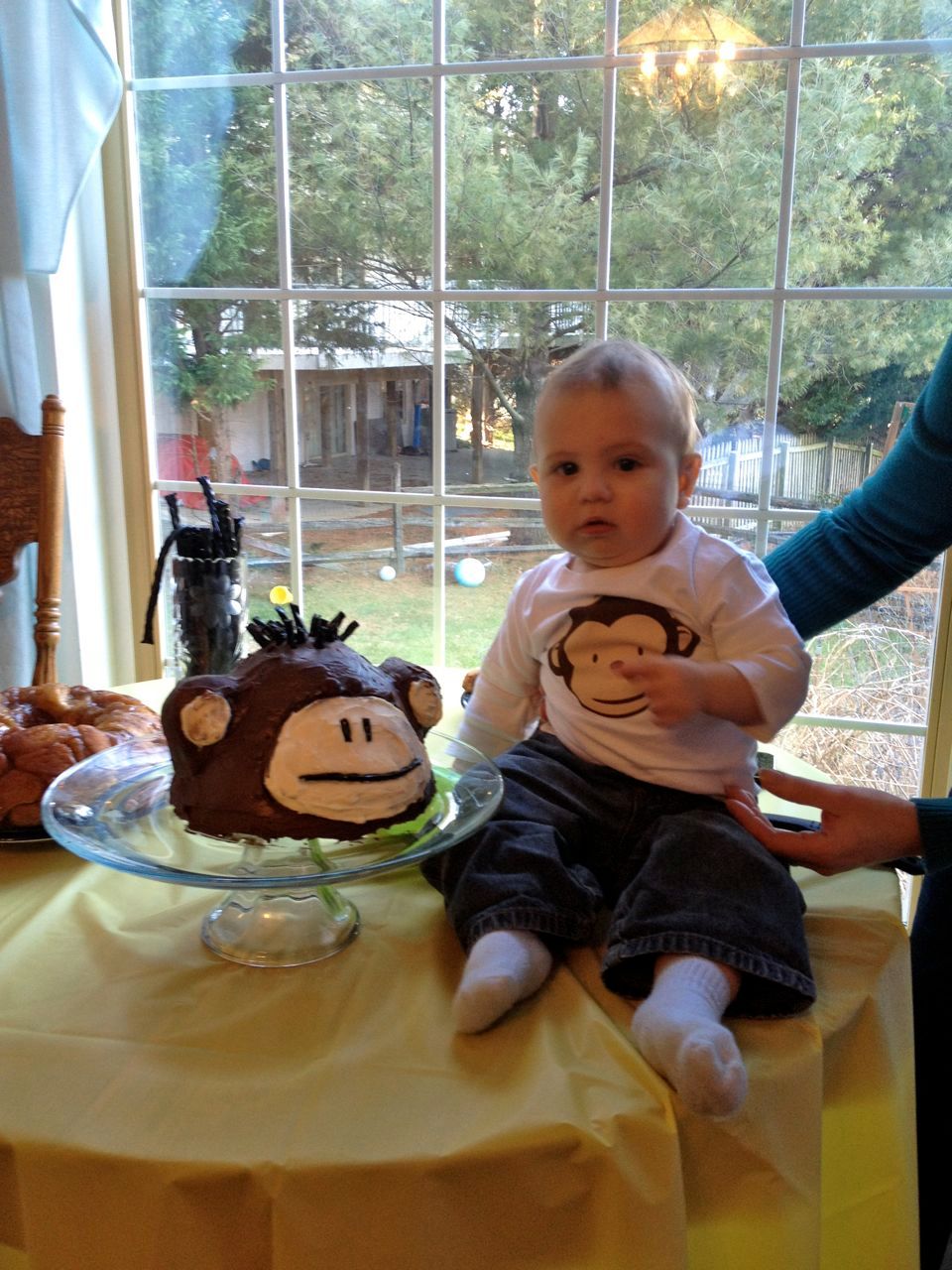 My Monkey checking out his Monkey cake