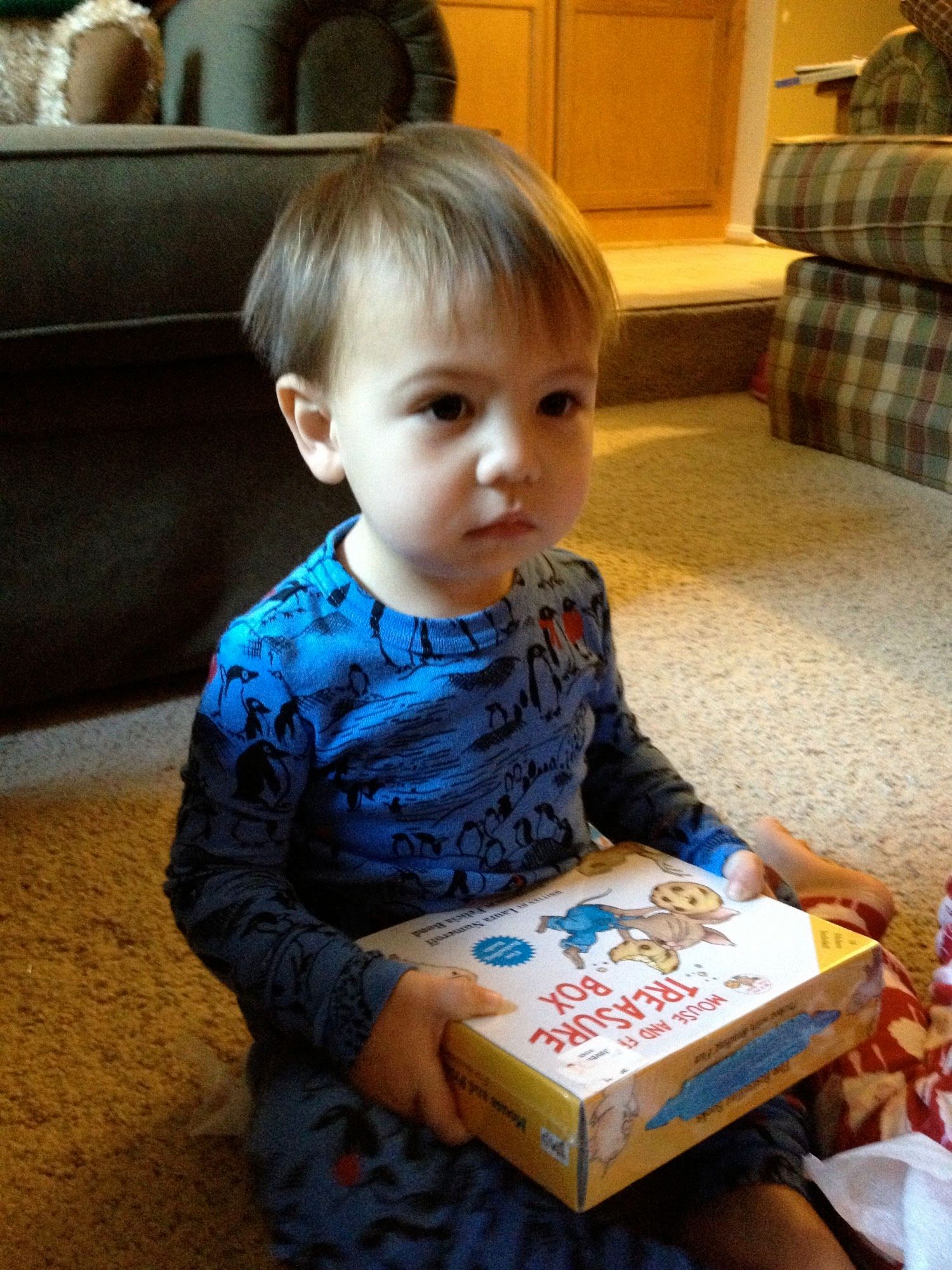  New Books found in his stocking 