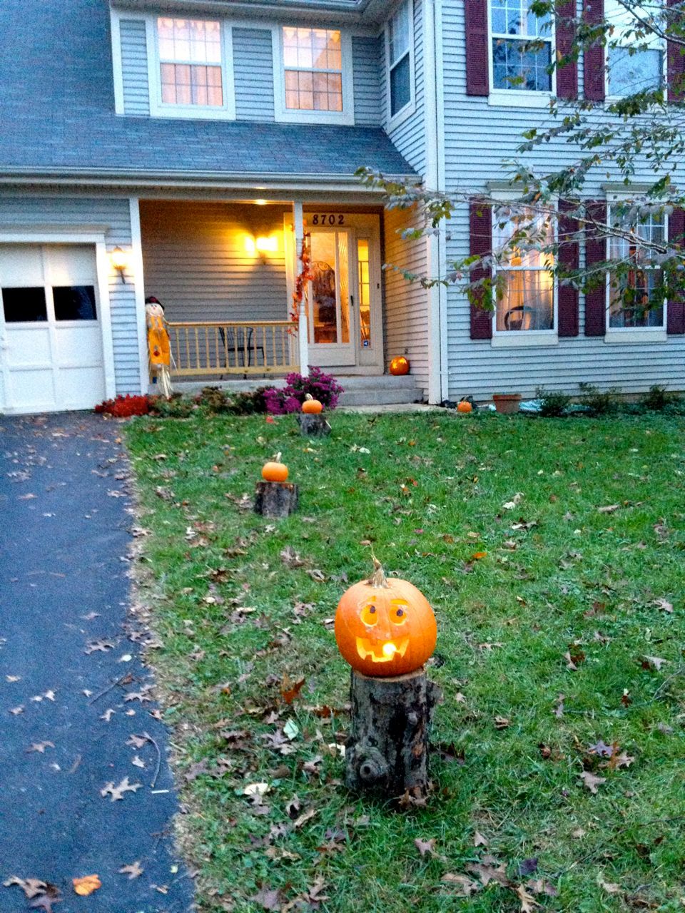 Pumpkins lining our driveway :)