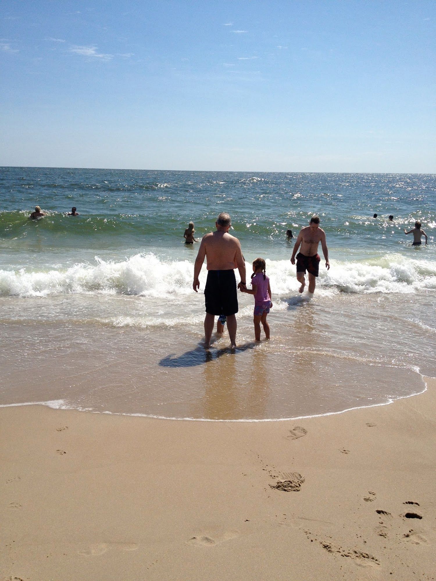 Lolo and Buggy checking out the waves