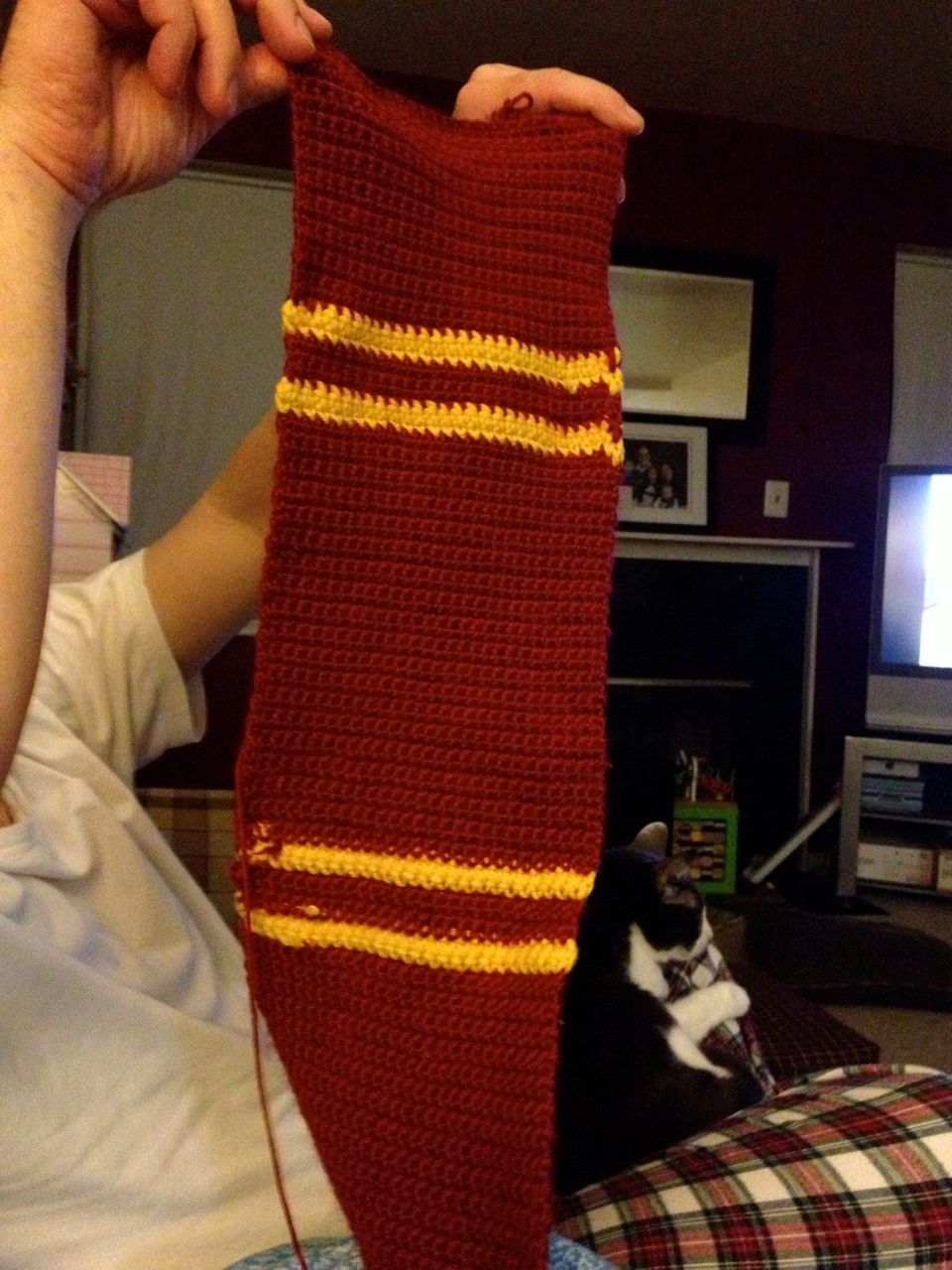 Gryffindor scarf for my niece. Hope I finish it soon.I can't wait to give it to her.