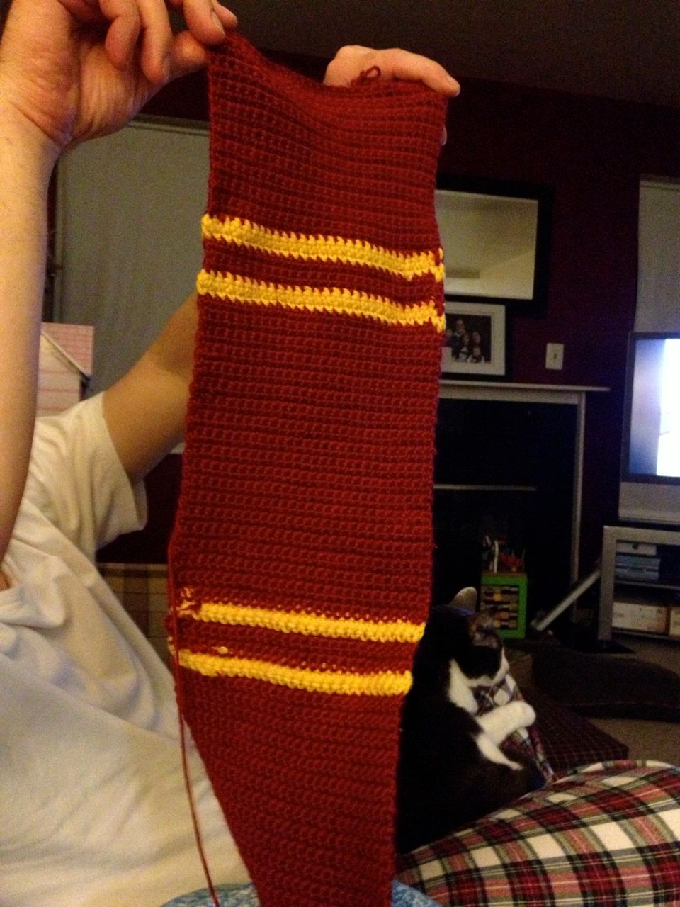  Gryffindor scarf for my niece.  Hope I finish it soon.I can't wait to give it to her. 