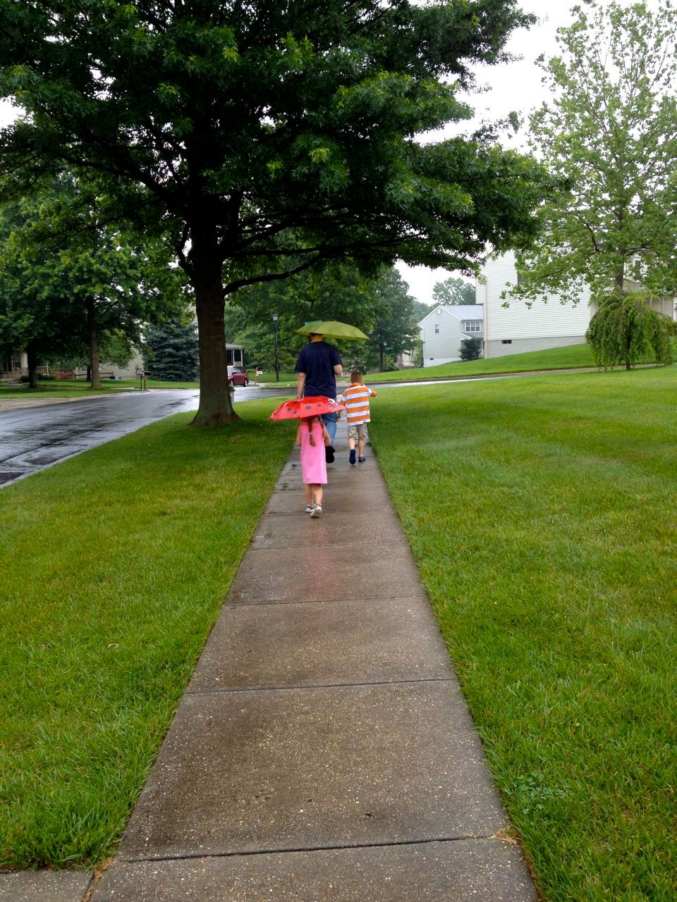  On the way home from a successful year in Kindergarten 