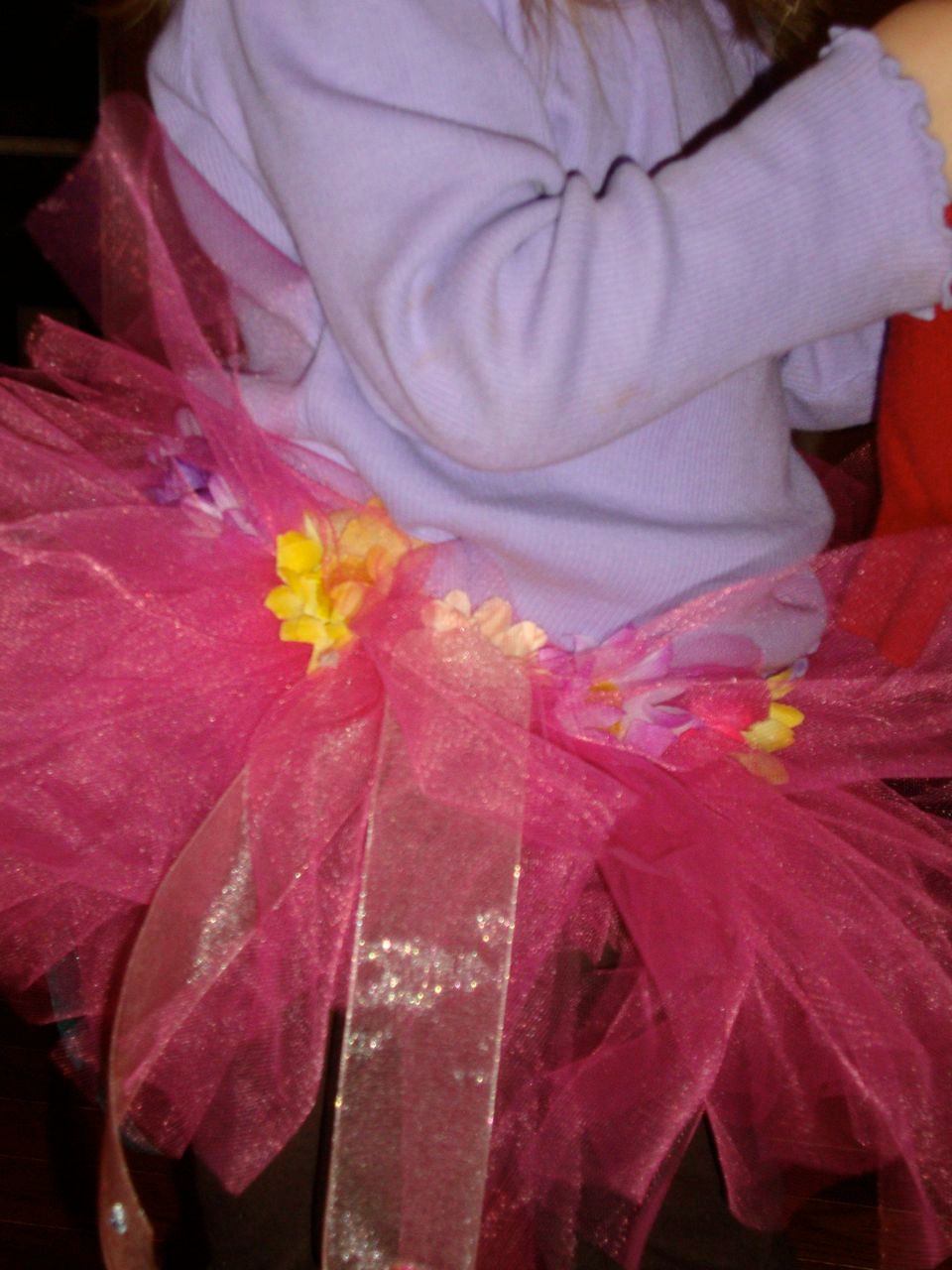 A close-up view of the tutu. See the flowers around the waistband?
