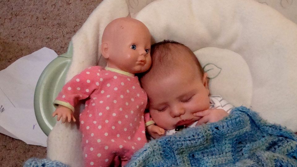 Almost Wordless Wednesday: Sleepy Time