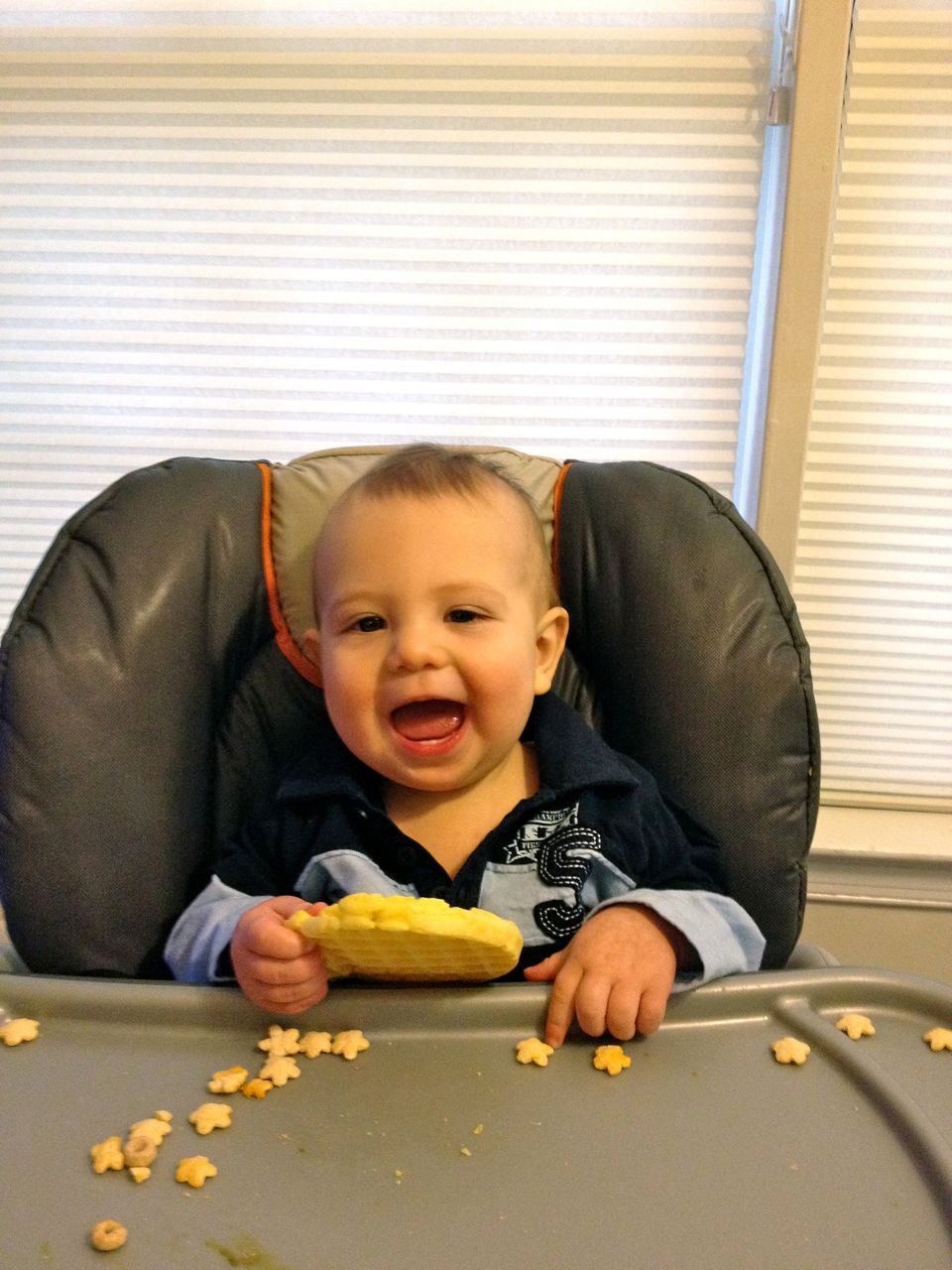 Mr Bananas is 11 months old! (Belated)